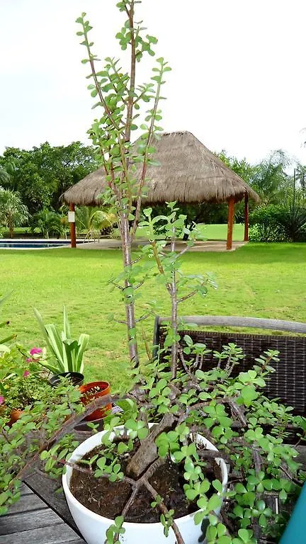 B&B Mom'S House Puerto Aventuras