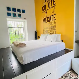 Kuku Ruku 3*, Queretaro Mexico